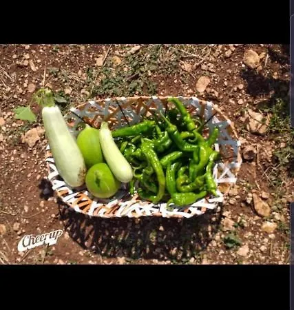 Trulli Selva E Natura Gio'.ele Bed & Breakfast 4*