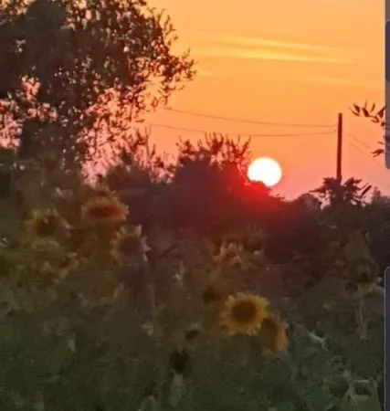 Trulli Selva E Natura Gio'.ele 4*